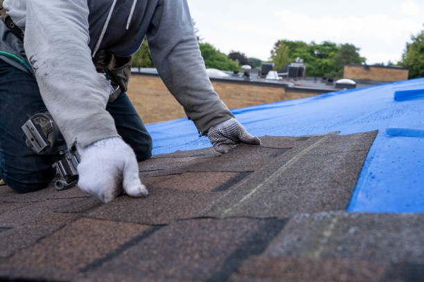 Best Metal Roofing Contractor  in Lawton, IA