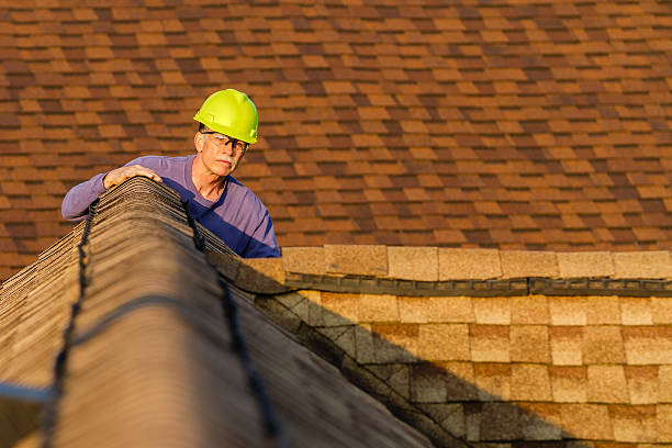 Best Roof Gutter Cleaning  in Lawton, IA